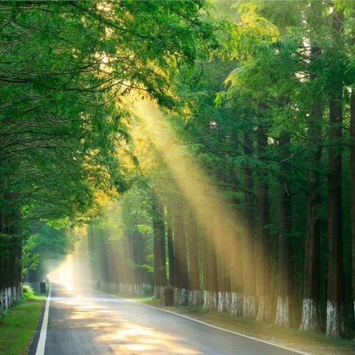 【舒心向】安静解压可以让人治愈的民谣