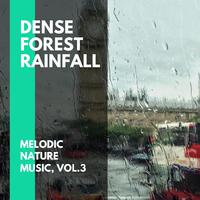 Dense Forest Rainfall - Melodic Nature Music, Vol.3