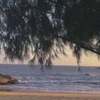 Double J资料,Double J最新歌曲,Double JMV视频,Double J音乐专辑,Double J好听的歌