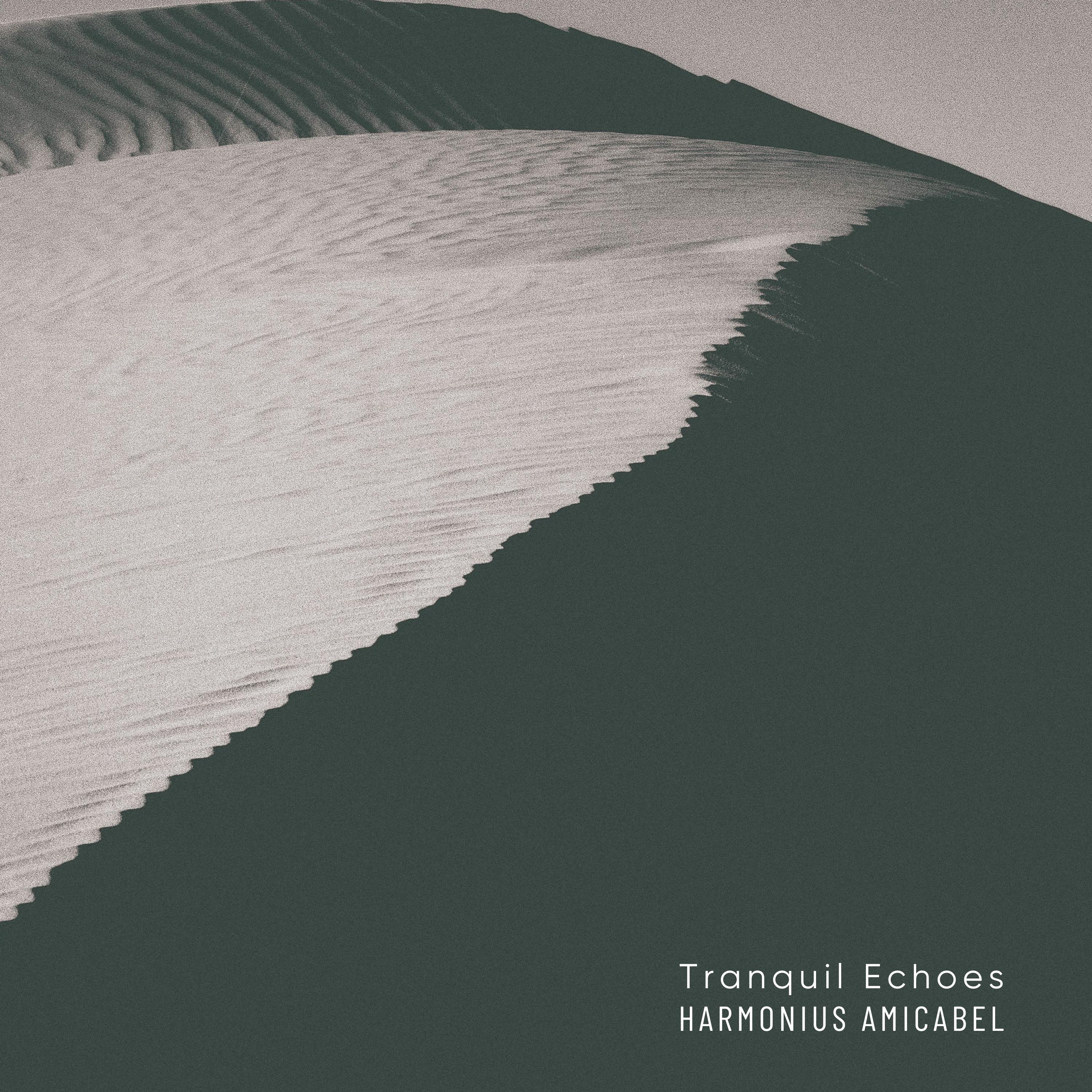 Tranquil Echoes