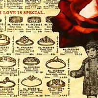 Our Love Is Special资料,Our Love Is Special最新歌曲,Our Love Is SpecialMV视频,Our Love Is Special音乐专辑,Our Love Is Special好听的歌