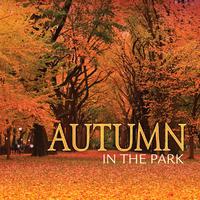 Autumn In The Park