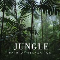 Jungle Path of Relaxation