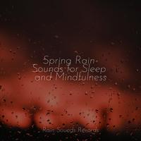 Spring Rain Sounds for Sleep and Mindfulness