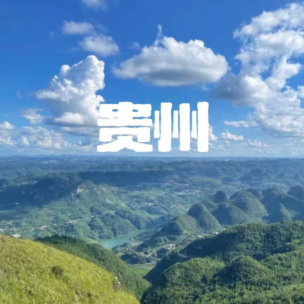 让爱死在贵州省封面
