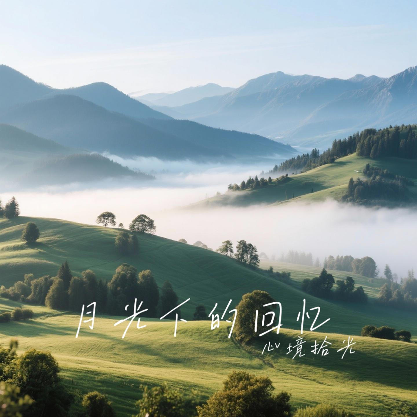 月光下的回忆封面