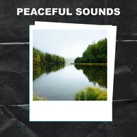 Peaceful Sounds