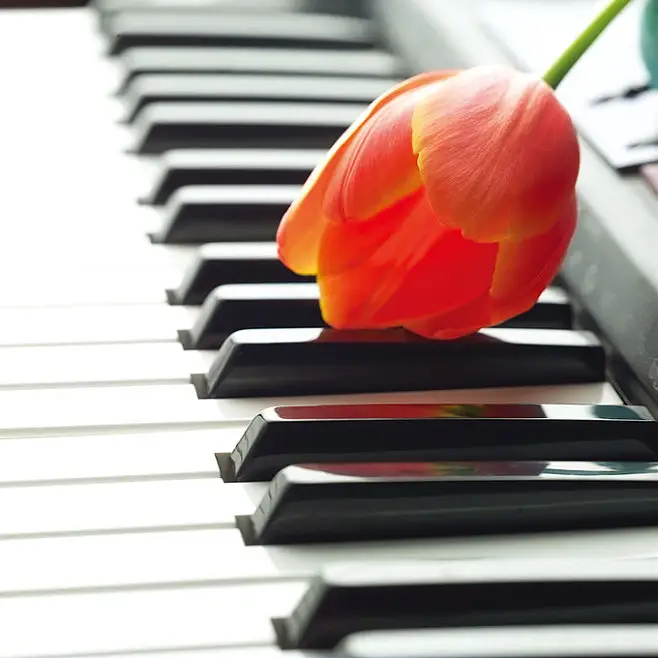 song-img
