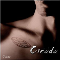 Cicada