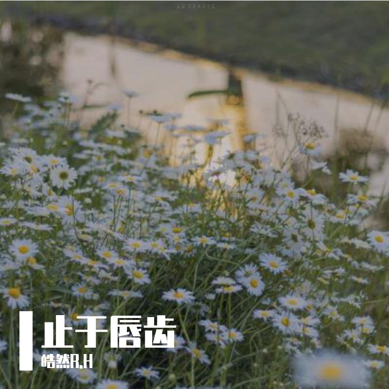 观众（伴奏）封面