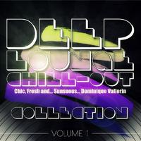 Deep Lounge Chill Out, Vol. 1 (Chic, Fresh and... Sunsuous)