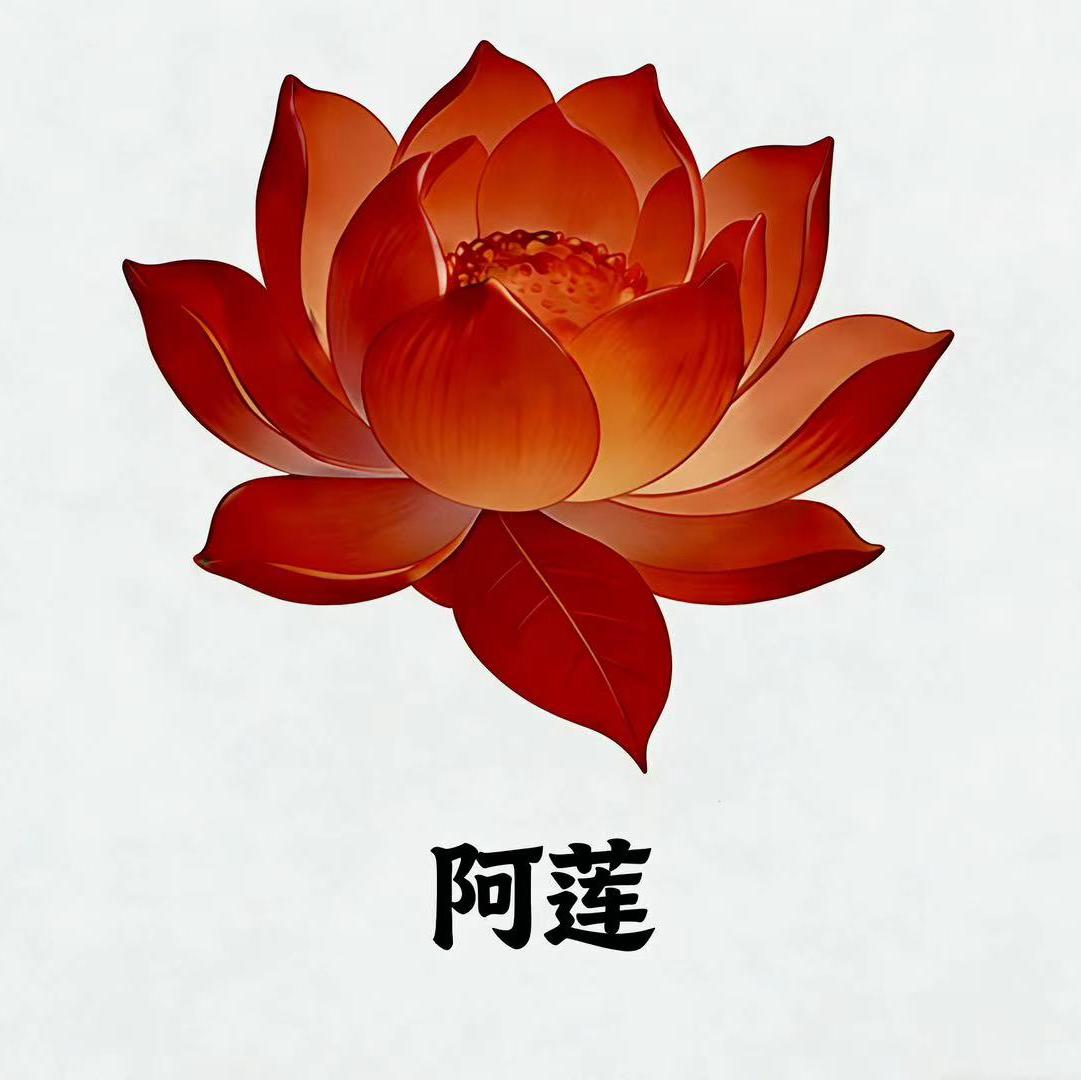 阿莲封面