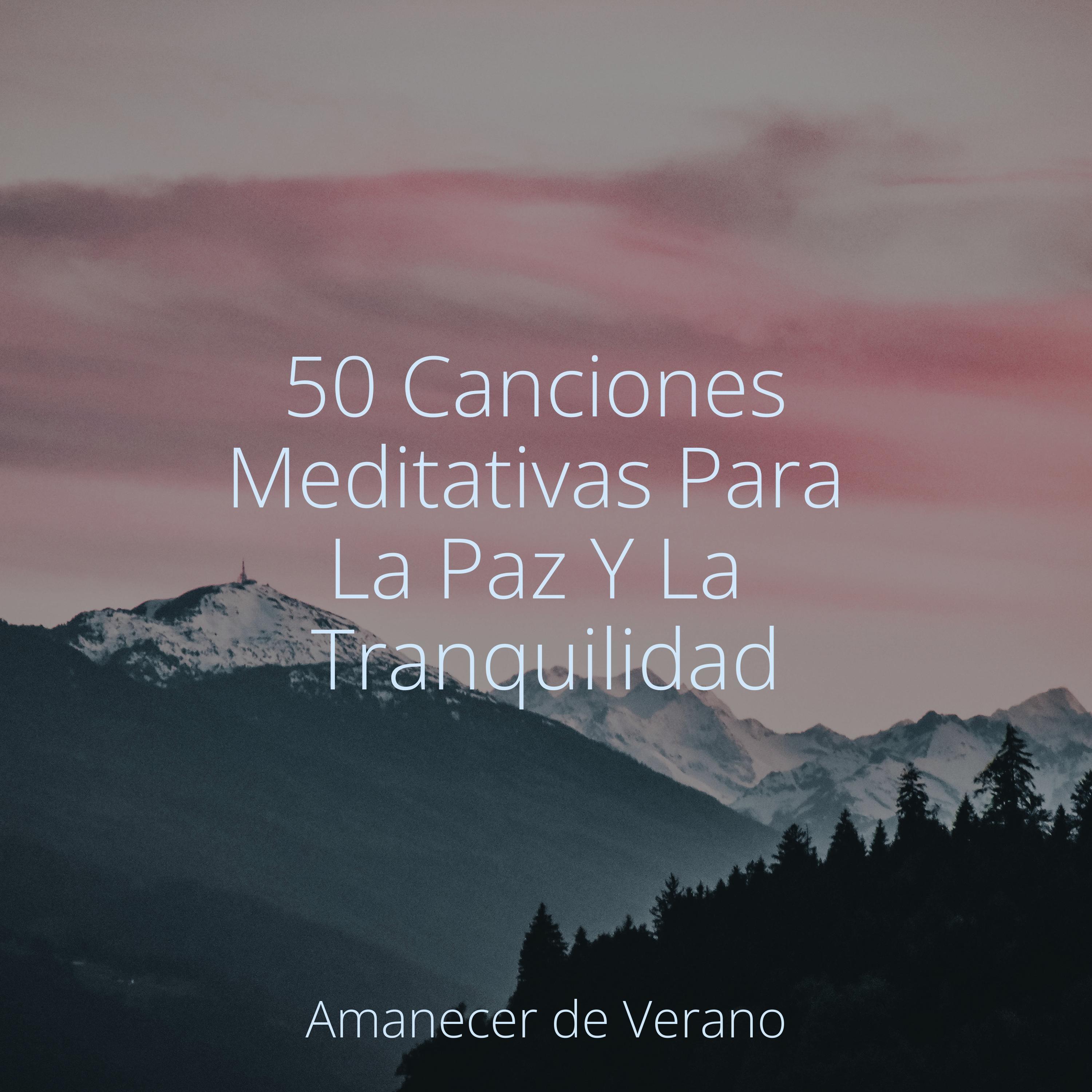 Armonía Eterna del Amanecer