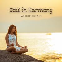 Soul in Harmony