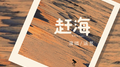 赶海