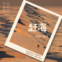 赶海专辑