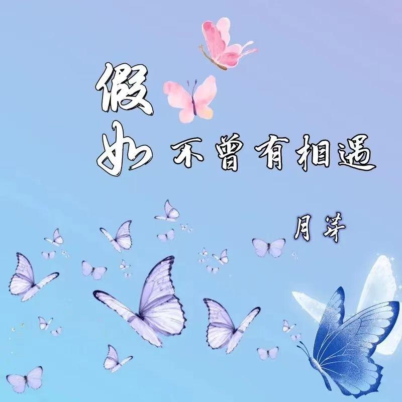 有心人，有情人封面
