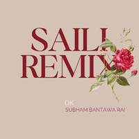 SAILI (Remix)