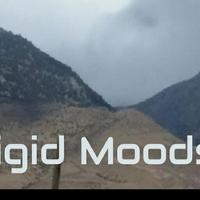 Rigid Moods资料,Rigid Moods最新歌曲,Rigid MoodsMV视频,Rigid Moods音乐专辑,Rigid Moods好听的歌