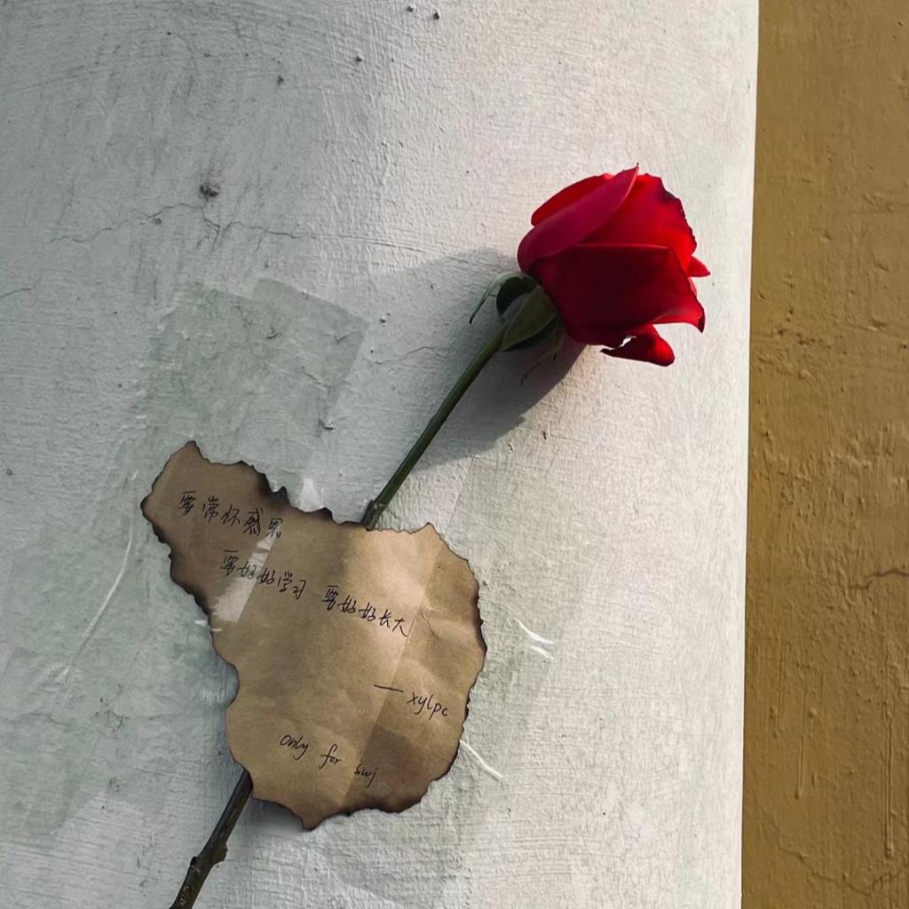 橘子海 落日飞车 盘尼西林 deca joins