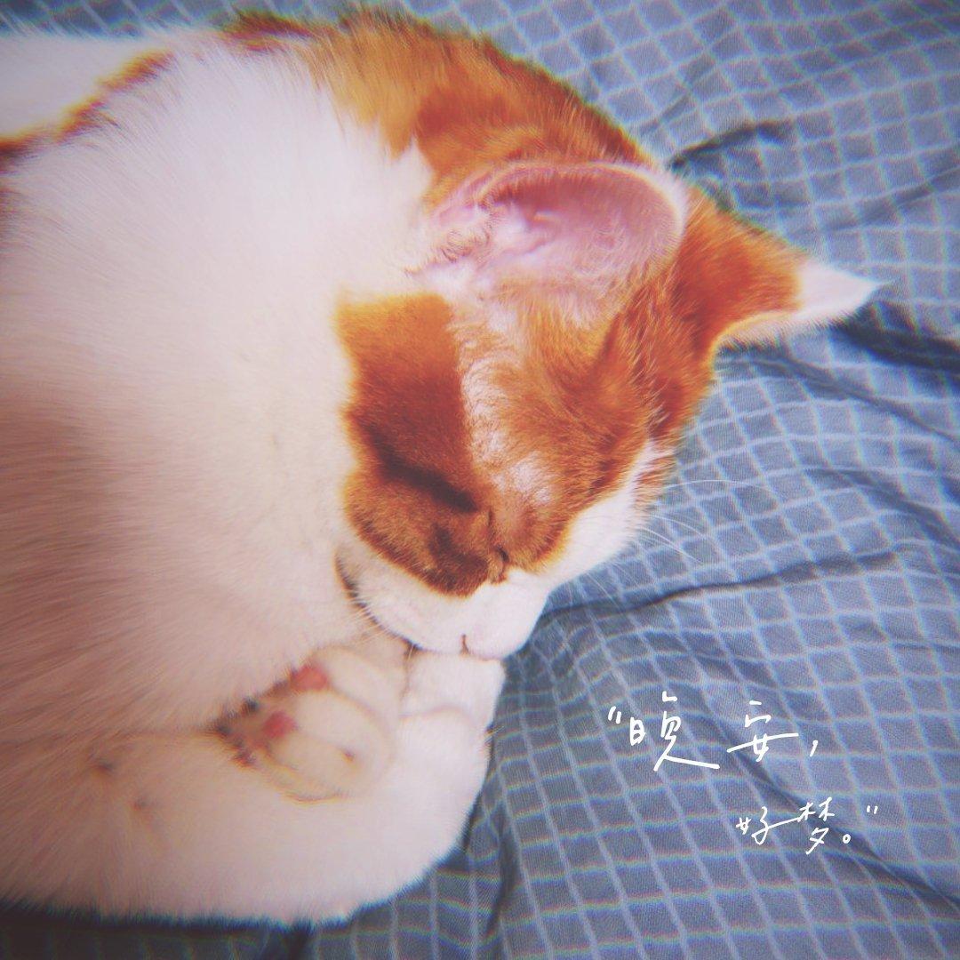 睡觉专用 英文歌 安眠必备 晚安