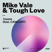 Insane (feat. CANCUN?) [Extended Mix]