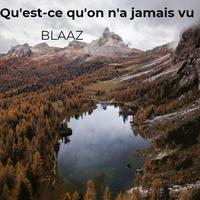 Qu'est-Ce Qu'on N'a Jamais Vu