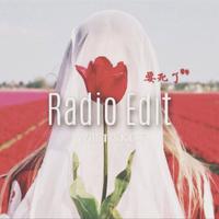 要死了 (radio edit)