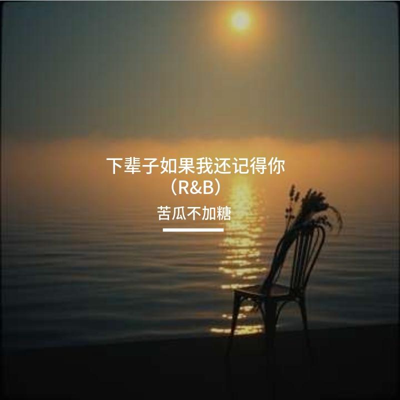下辈子如果我还记得你（R&B版）封面