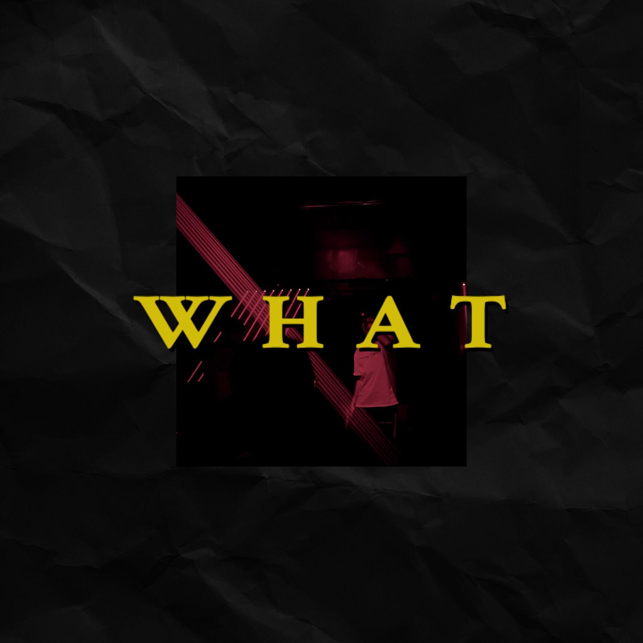 WHAT？封面
