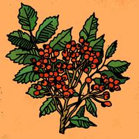 Rowanberry Jam