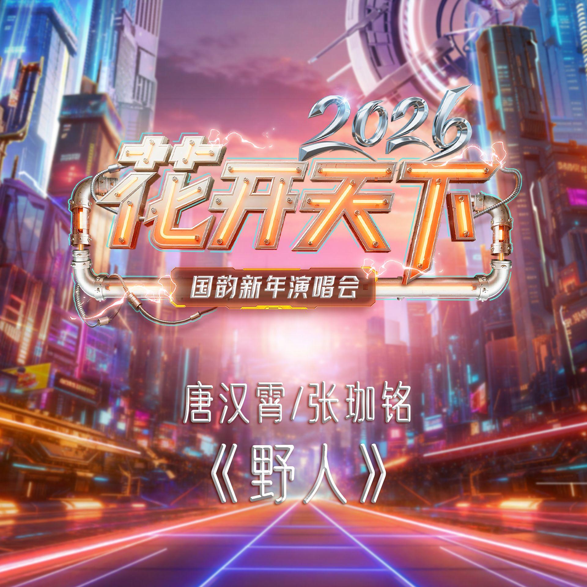 野人封面