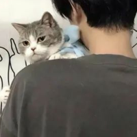 每天都很困.