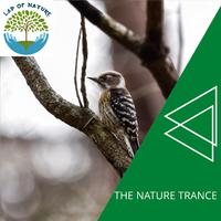 The Nature Trance