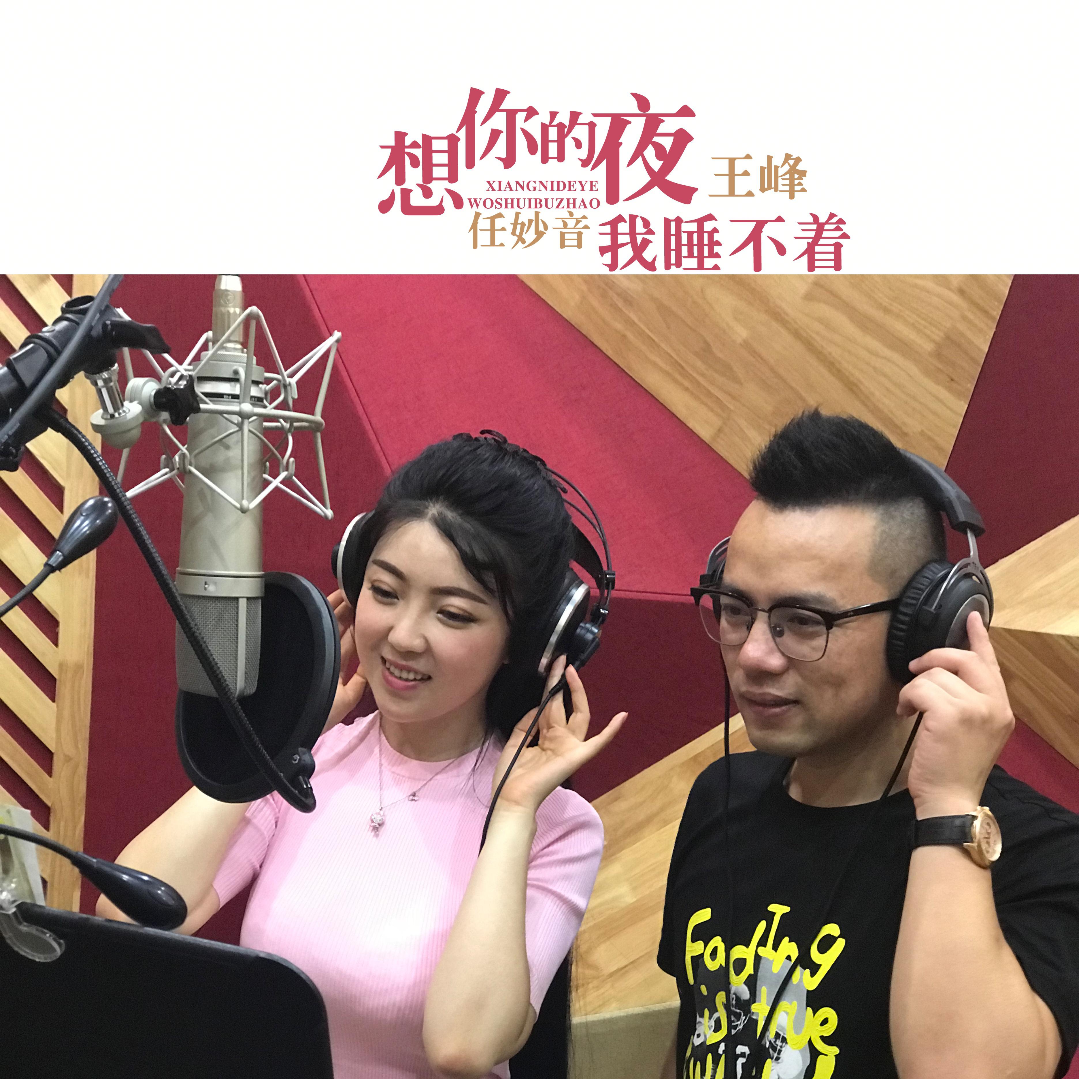 任妙音 - 想你的夜我睡不着 (dj何鹏版)