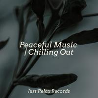 Peaceful Music | Chilling Out