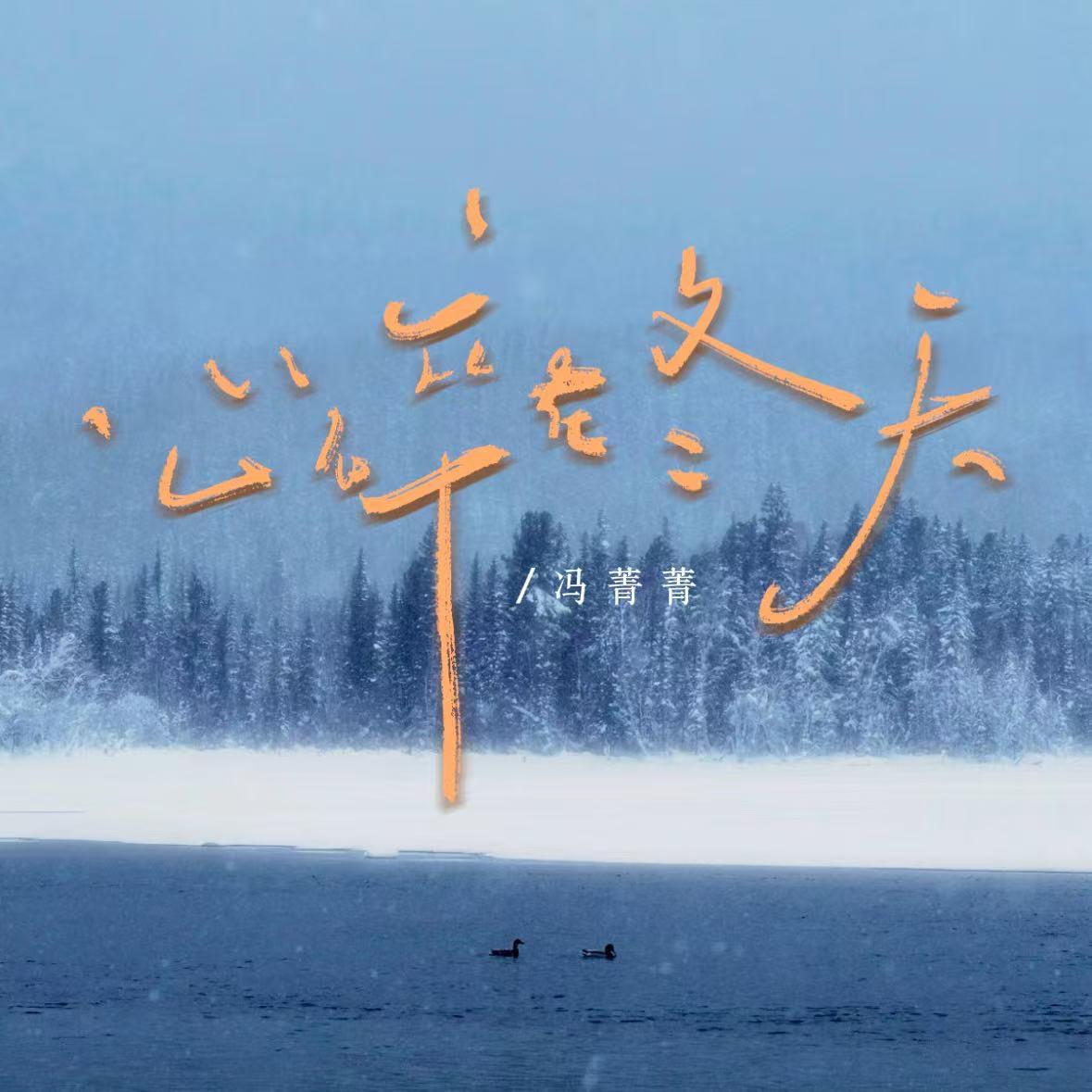 心碎在冬天 (雪花落下一片片) - 冯菁菁封面