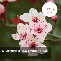 A Harmony of Peace With Nature