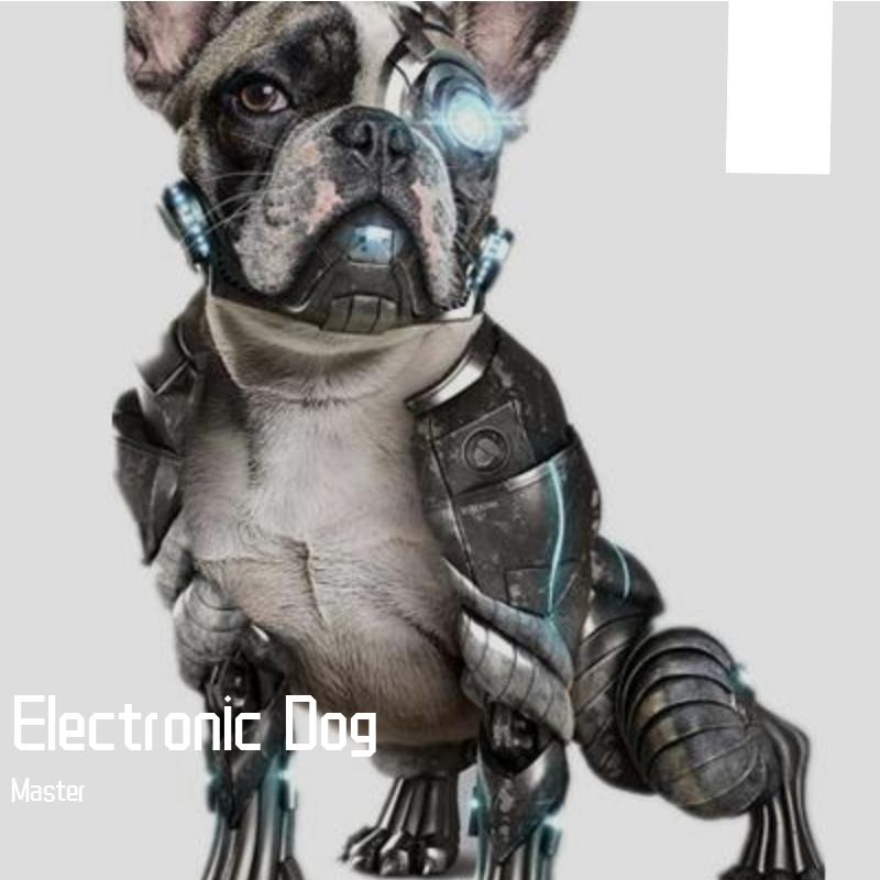 Electronic Dog