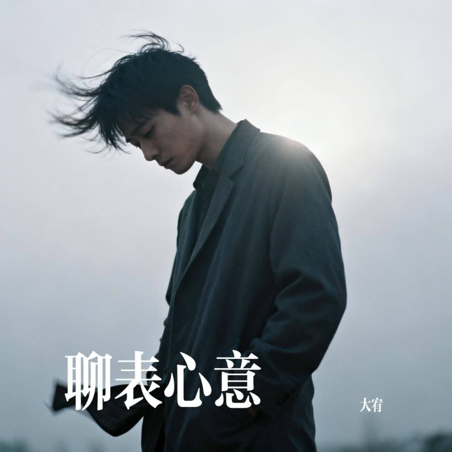 聊表心意封面