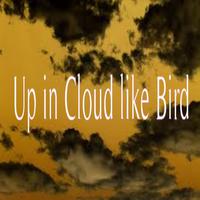 Up in Cloud like Bird