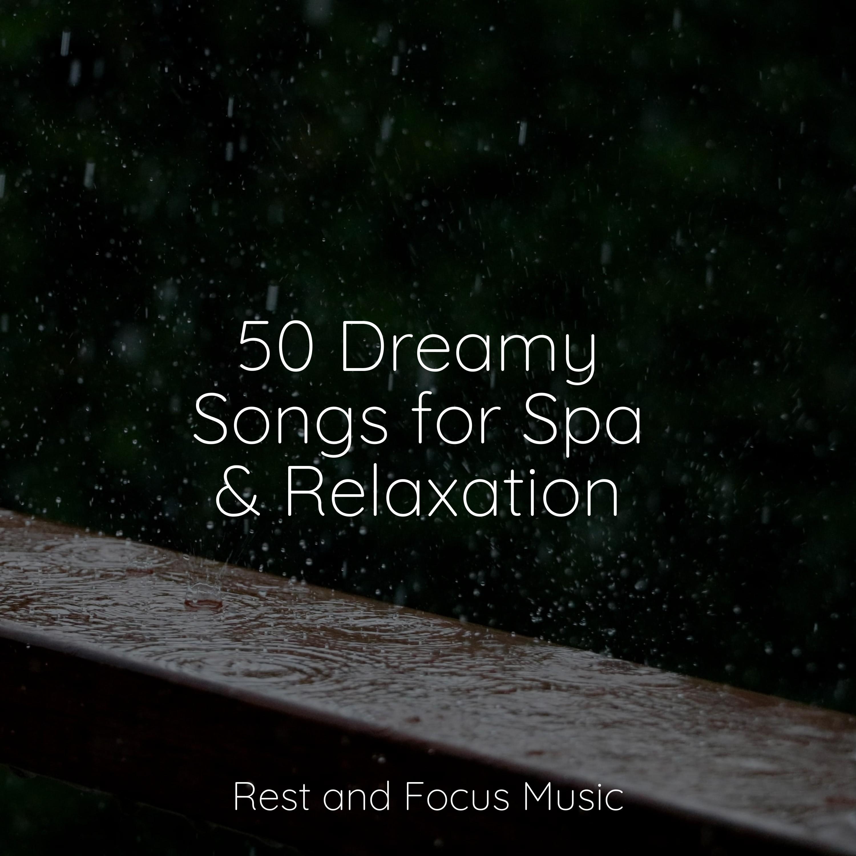 Dreamy Songs For Spa Relaxation Spa Spa