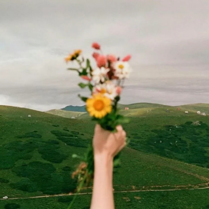 全网精选200首，听过证明活在2025