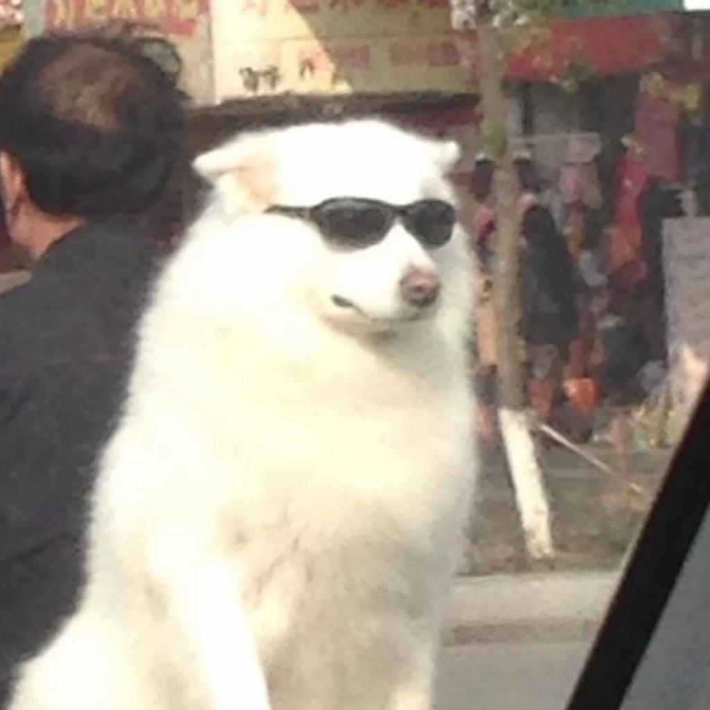 刘星夏雨抡胖婶