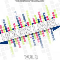 House Level, Vol. 9