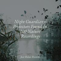 Night Guardians: Protectors Found In 100 Nature Recordings