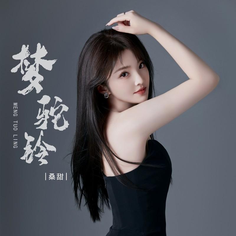 梦驼铃 (伴奏)封面