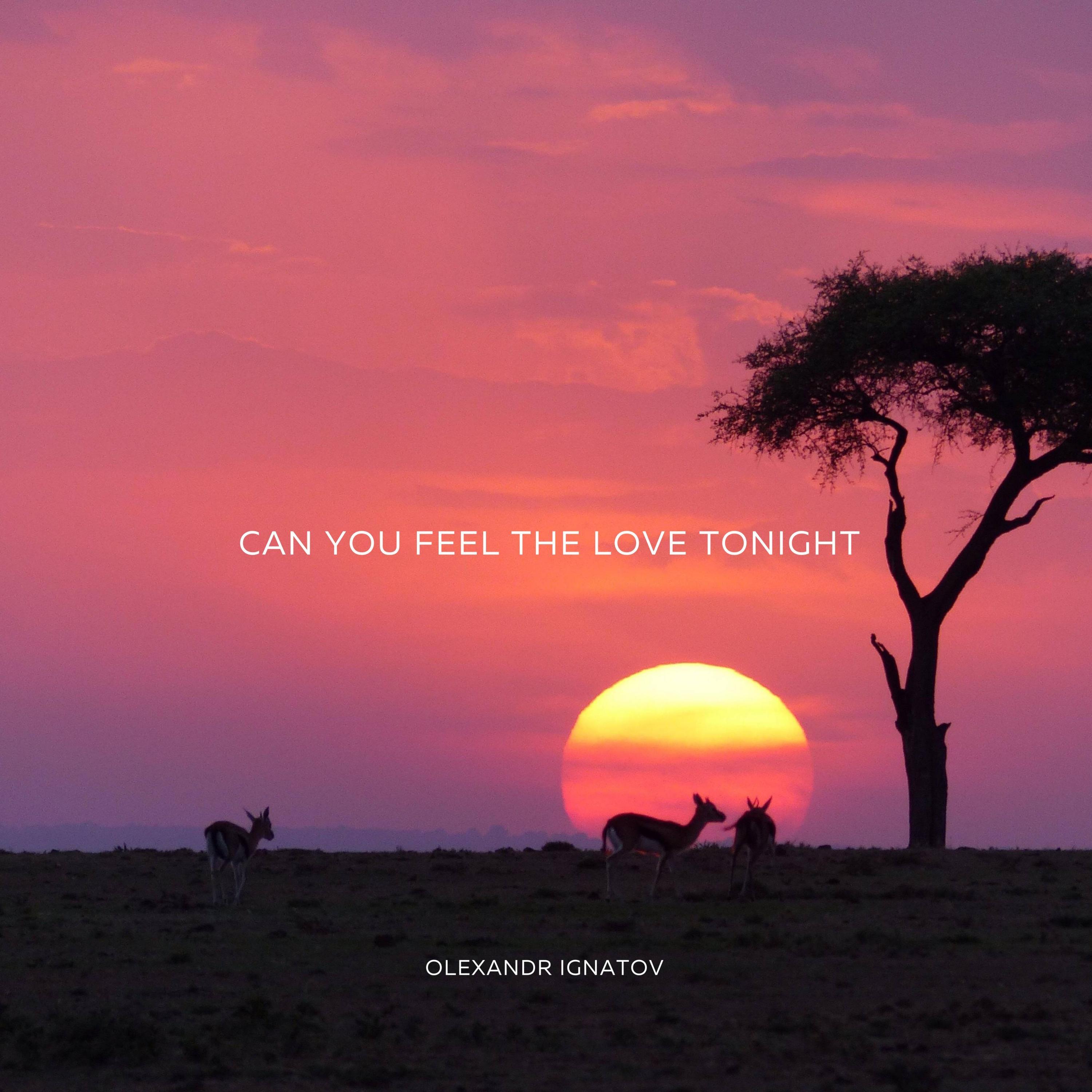 Can You Feel the Love Tonight (Piano Version)