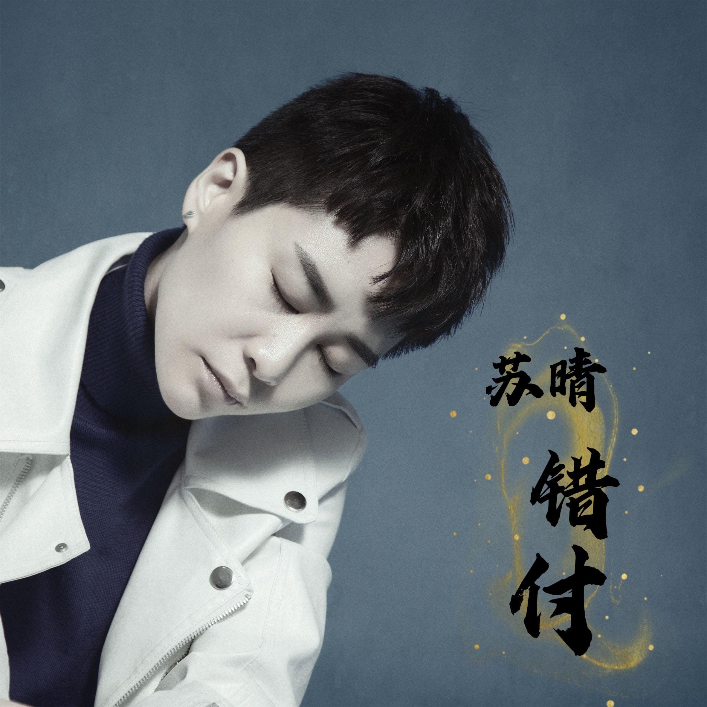 错付 (伴奏)封面