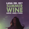 Summer Wine - Lana Del Rey